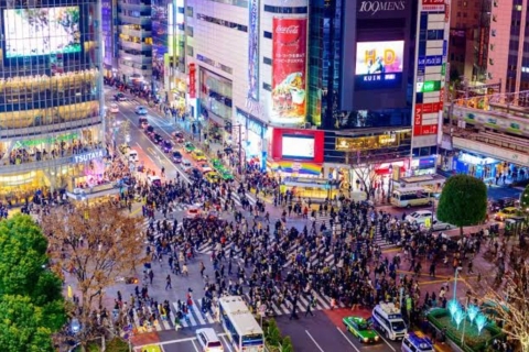 Tokio: 1 dag privé stadsrondleiding op maat met auto en busjeTokio: privétour van 1 dag met Engelssprekende gids