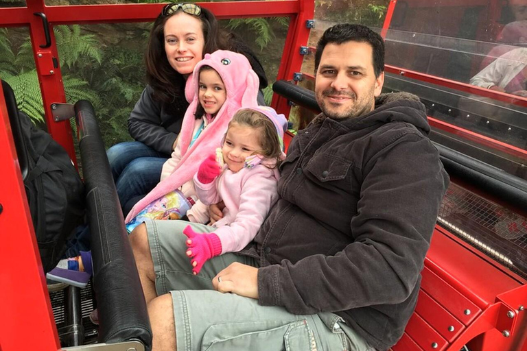 Private Blue Mountains, Scenic World & Wentworth Falls Tour Fully Private & Premium Experience