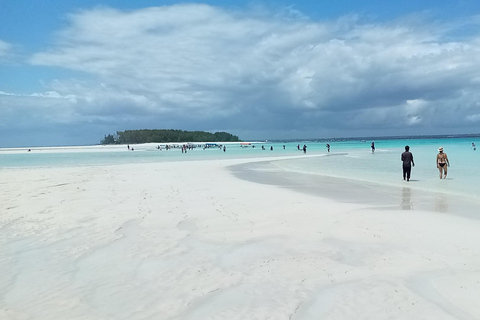 Snorkel en Mnemba y nado con delfines