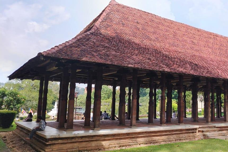 Passeio de Kandy a Ambuluwawa e três templos arqueológicosOpção Tuk Tuk