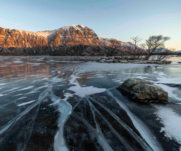 Lofoten: Halvdagstur med guide og fotostopp