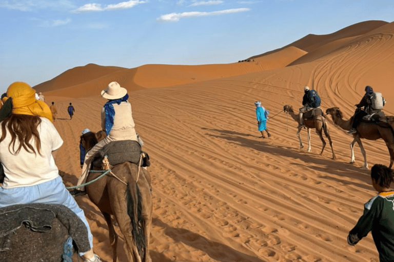 من فاس: رحلة ذهاب وعودة لمدة يومين عبر صحراء مرزوقة وركوب الجمالخيار الجولة المشتركة