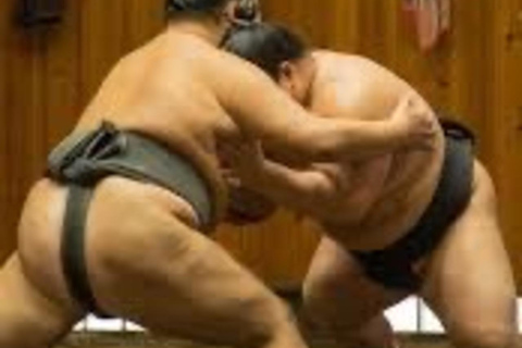 Tokyo: Sumo Wrestling Experience in Shinjuku