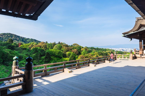 Kyoto, Gion & Nara: Culture & Heritage Full-Day Tour Trip from Osaka 8:40AM
