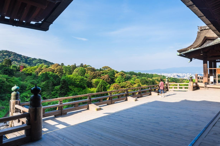 Kyoto, Gion & Nara: Culture & Heritage Full-Day Tour Trip from Osaka 8:40AM