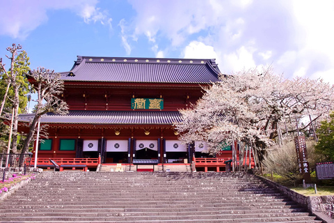 From Tokyo: Nikko Toshogu Shrine and Lake Chuzenji Day Trip Private Sightseeing Tours