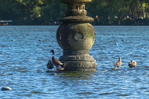 Da Shanghai:Templi di Hangzhou, vista sul lago e divertimento al mercato notturno