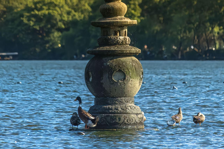 Desde Shanghai: Templos de Hangzhou, vistas al lago y diversión en el mercado nocturno