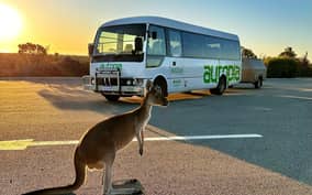 From Perth: Pinnacles Sunset and Stargazing Tour with Dinner