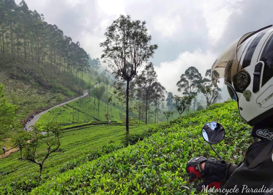 Kandy to Nuwara Eliya Bike Road Trip GetYourGuide