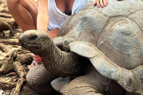 Zanzibar: Jozani Forest, Village & Butterfly Center