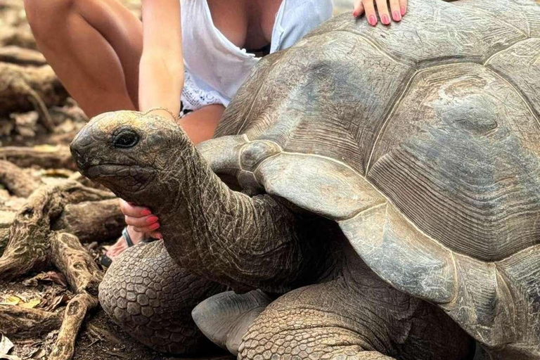 Zanzibar: Jozani Forest, Village & Butterfly Center