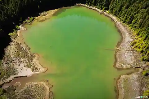Visita guiada ao Vulcão e Cratera das Sete Cidades nos Açores