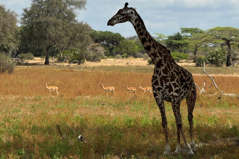 Dar es Salaam: gita di 1 giorno in treno al Parco nazionale di Mikumi