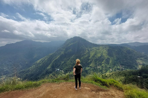 Nuwara Eliya → Tissamaharama Transfer with Sightseeing Stops
