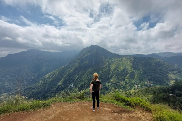 Nuwara Eliya → Tissamaharama Transfer with Sightseeing Stops