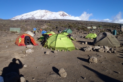 Ascension du Kilimandjaro 7 jours Route de Machame