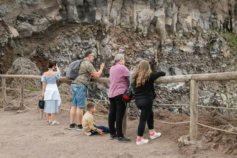 Naples: Mount Vesuvius and Herculaneum Tour with Guide Mount Vesuvius and Herculaneum with Digital Guide