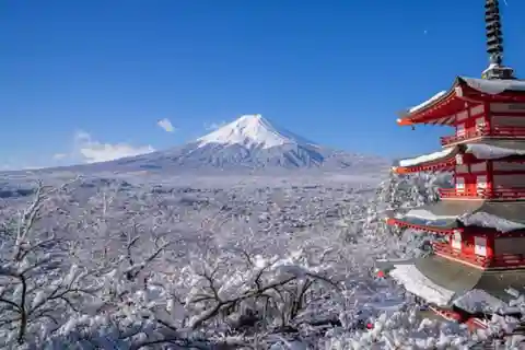 Tokyo: Mt Fuji, Tatoo OK Onsen, Sake Tasting & Hoto Lunch