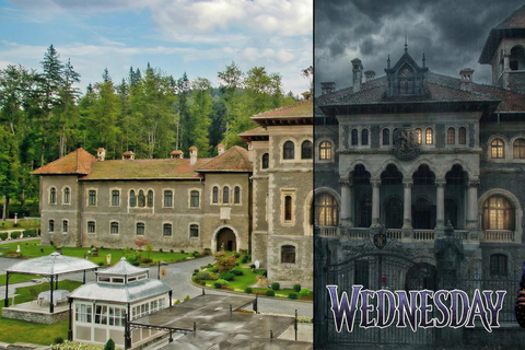 3 Castles 1 Day Tour from Bucharest: Peles, Bran & Wednesday Audio Guide 24 Languages