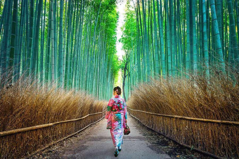 Kyoto: Private Custom Tour with English Guide and Vehicle Kyoto: Private Custom Tour with Licensed Guide and Vehicle