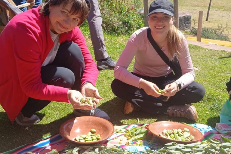 Puno: Uros Taquile Tour + Overnight in Luquina Community (VIP Speedboat) Puno: Uros Taquile Tour + Overnight Stay in Luquina Community (VIP Speedboat)