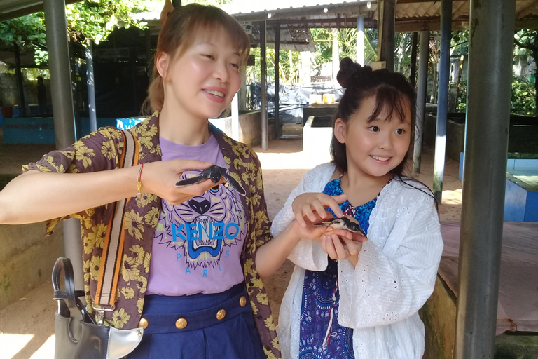 Madu River Safari, Galle Fort, & Tea Factory Tour