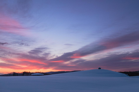Sopporo: Hokkaido Shrine and Atama Daibutsu Full-Day Tour