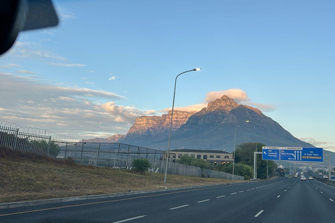 Cape Town: Table Mountain Cableway Ticket