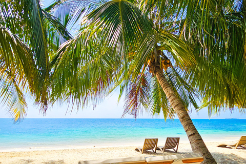 Cartagena: Day Trip to Barú Island, Baruch Wave Beach Club + Lunch + Snorkeling