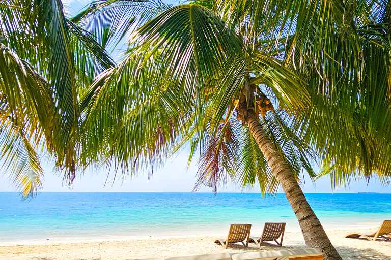 Cartagena: Day Trip to Barú Island, Baruch Wave Beach Club + Lunch + Snorkeling
