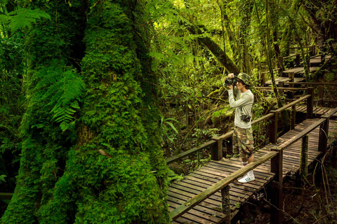 Vandring i Doi Inthanon nationalpark &amp; vandring på Pha Dok Siew Trail