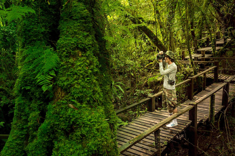 Trek at Doi Inthanon National Park &amp; Pha Dok Siew Trail Trek