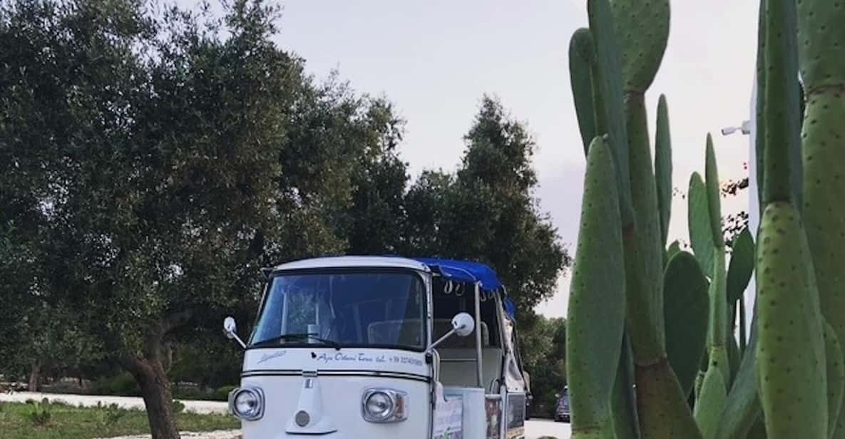 Afbeelding 7 van Valle d’Itria: rondleiding in een Ape Calessino tussen Ostuni en Alberobello