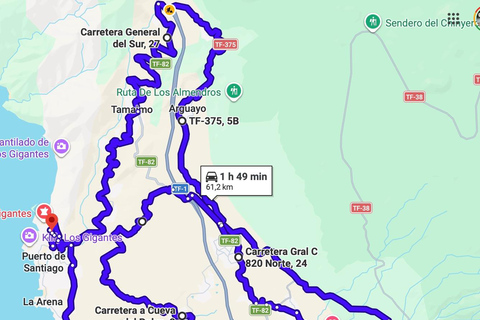 South Tenerife: Off-the-beaten-track buggy adventure South Tenerife: Full-Day Self-Drive Buggy Experience