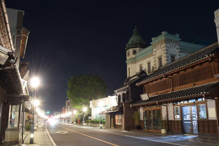 Tokyo: City Full-Day Private Scenic Tour With English Guide