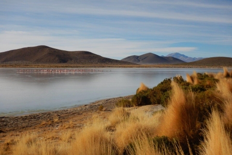 Solnisko Uyuni: z San Pedro de Atacama | 4 dni