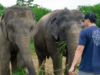 Phuket: Visita al parco naturale etico degli elefanti con pranzo