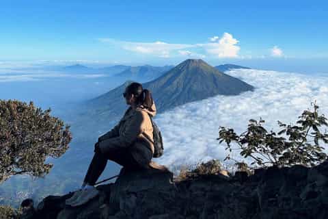 From Yogyakarta: Mount Sumbing Sunrise or Day Hiking Tour - Image 3