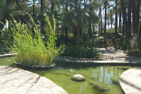 Vanuit Alicante: Tour naar de Nationale Botanische Tuin