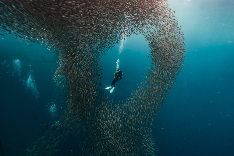 Cebu: 4 Days and 3 Nights Cebu Tour Package