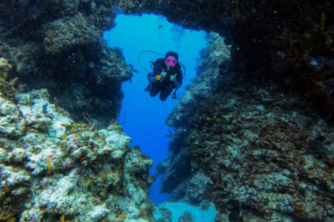 Cancún: PADI Nitrox cursus met verrijkte luchtCancún: Nitrox Duikcursus