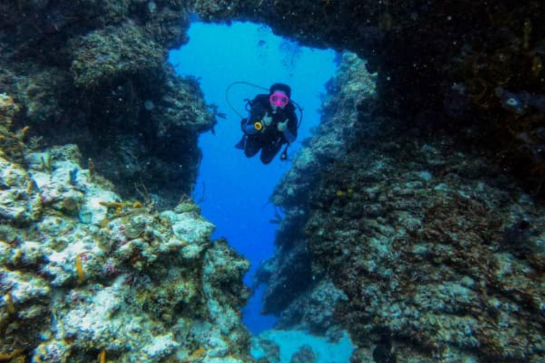 Cancun : Cours PADI Nitrox à l&#039;air enrichiCancun : Cours de plongée Nitrox