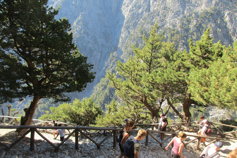 Vanuit Rethymno: Samaria Gorge-dagtocht met pick-upVanuit Gerani, Petres, Dramia, Kavros en Georgioupolis