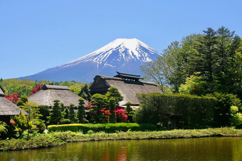 Tokyo: Mt Fuji Full-Day Private Tour of Top Best Places