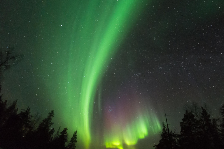 Saariselkä: Auroras Northern Lights Viewing & Photographing