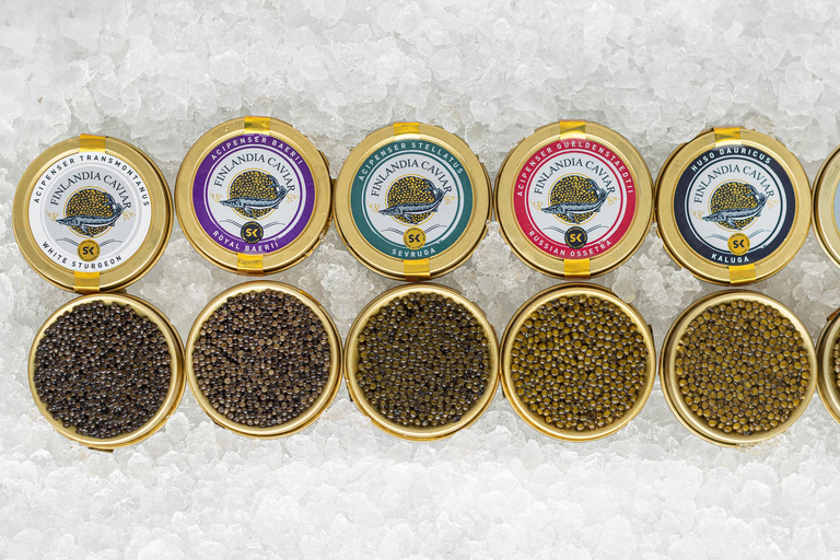Guided Caviar Tasting in Helsinki by Professionals
