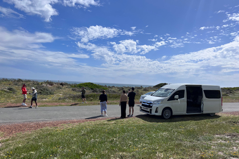 Cape of Good Hope and Penguins Full-Day Private Tour Private tour: Cape of Good Hope and Penguins Full-Day Tour