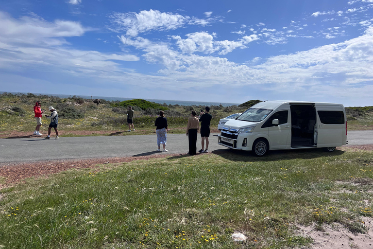 Cape of Good Hope and Penguins Full-Day Private Tour Private tour: Cape of Good Hope and Penguins Full-Day Tour