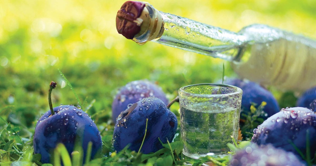 Romana Rakia Plovdiv: Old Town Exploring Guide Roman Ruins & Rakia Drinks | GetYourGuide